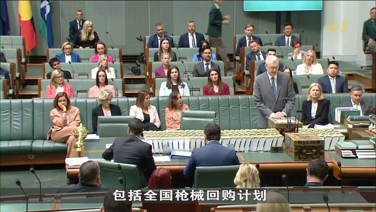 澳众议院通过枪支回购及收紧执照背景审查法案- 8world