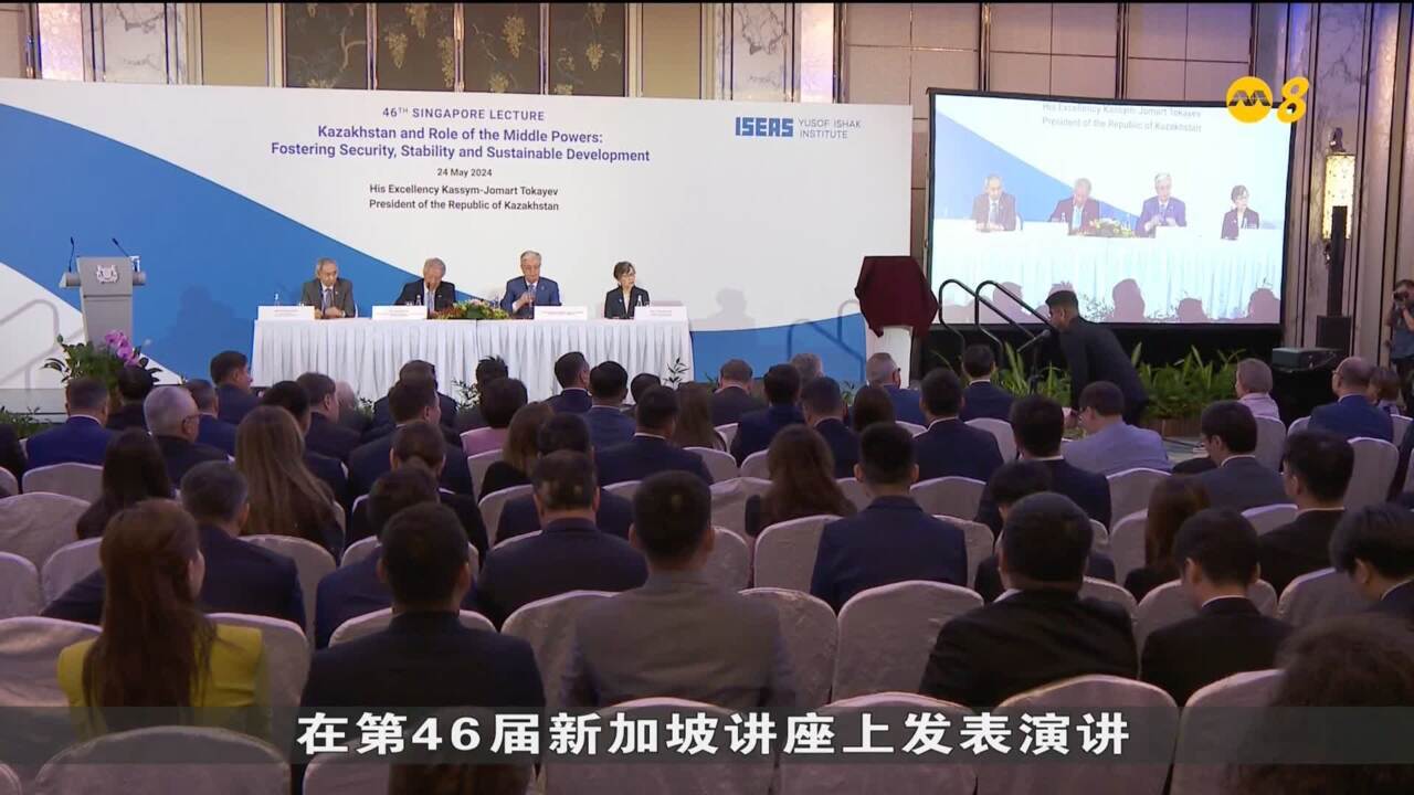 哈萨克斯坦总统强调中小国家合作应对全球挑战- 8world