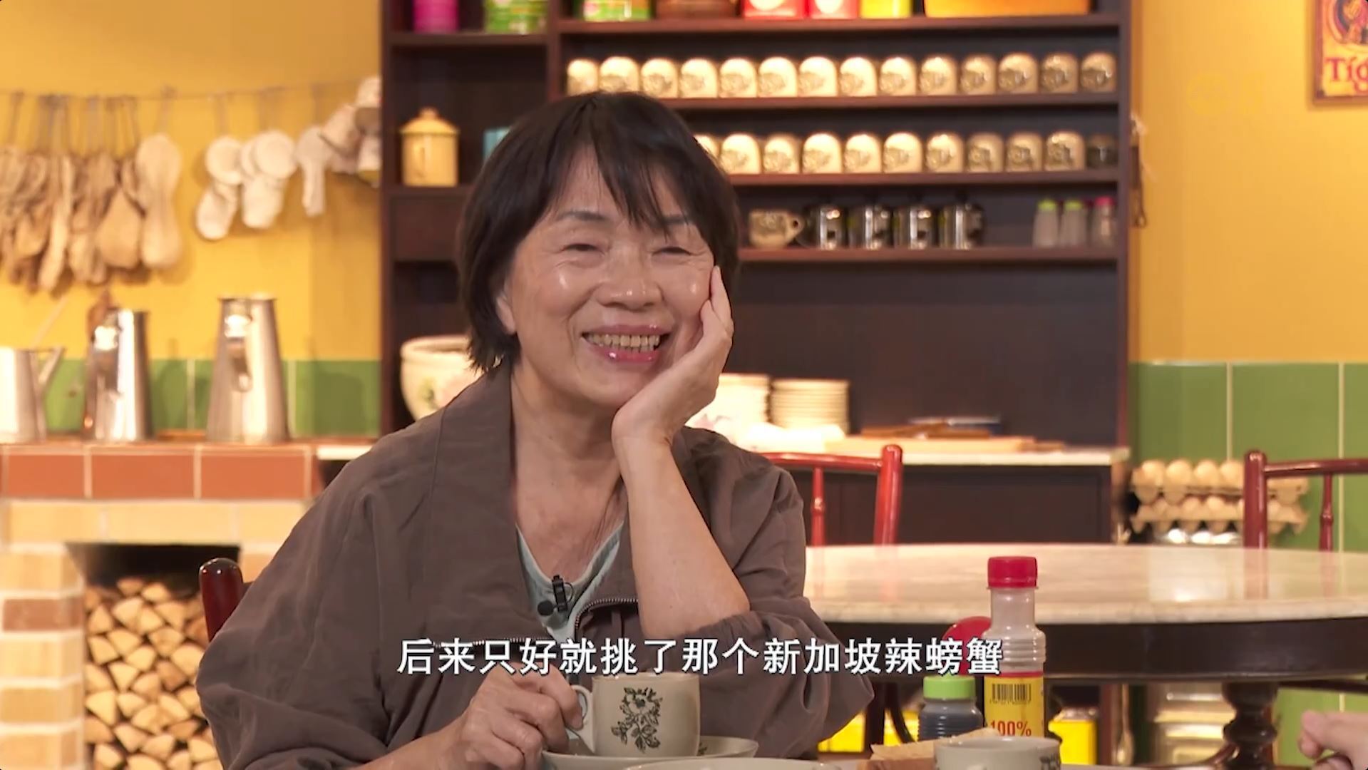 焦点 | 从批评到惊艳 龙应台眼中的新加坡变了