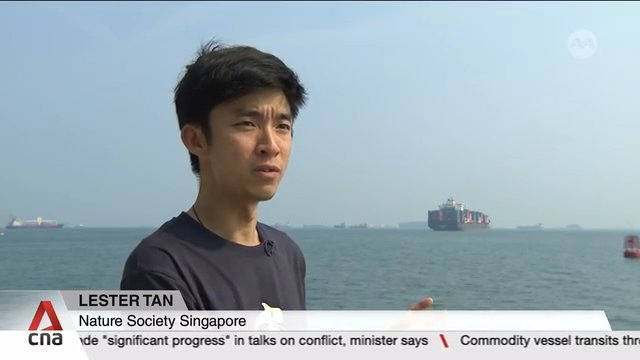 Singapore nature groups fear biodiversity loss from proposed western island reclamation; call for public consultation and studies