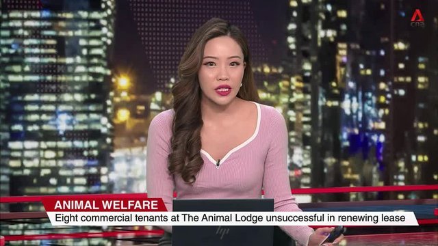 Staying Informed: A Look at Today's Key News in Singapore
